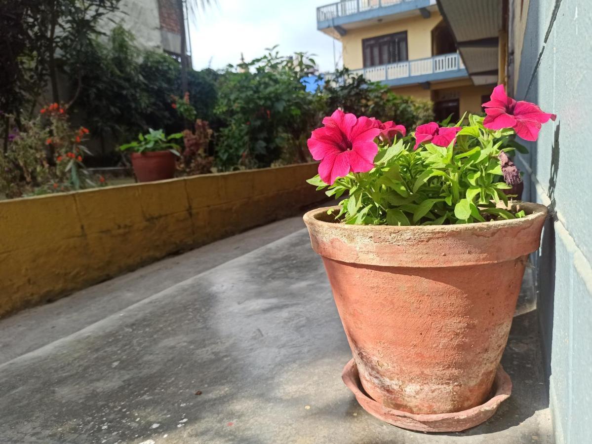 Pushpa Guest House Pokhara Bagian luar foto